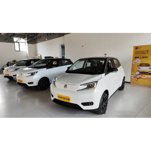 RHD Young Guangxioxin 2023 EV Mini Electric Electr